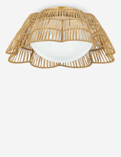 Lareina Flush Mount Light - Flush Mount Ceiling Light for Hallways