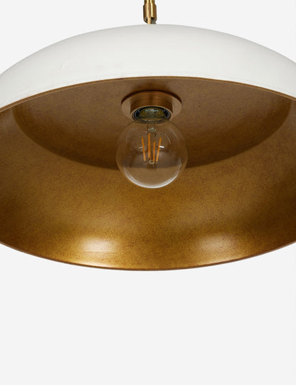 Robinson Pendant Light - Modern Ceiling Pendant Light for Dining Rooms