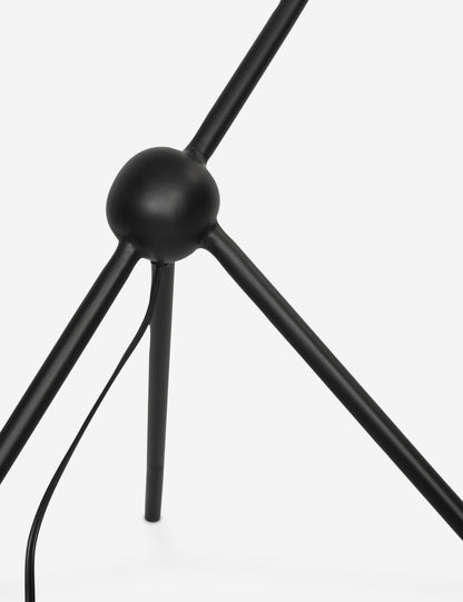 Choi Floor Lamp - Living Room Floor Lamp for Living Rooms Light