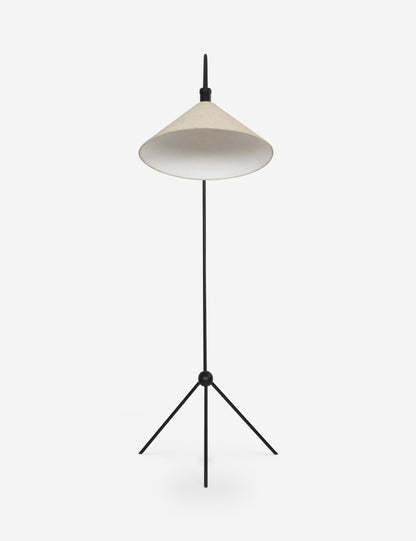 Choi Floor Lamp - Living Room Floor Lamp for Living Rooms Light