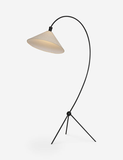 Choi Floor Lamp - Living Room Floor Lamp for Living Rooms Light
