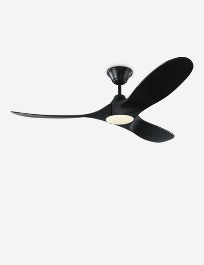 Delos Ceiling Fan - Ceiling Fan with Light Indoor Fixture Light