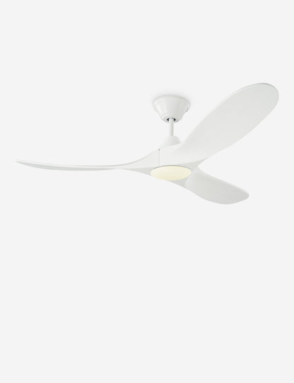 Delos Ceiling Fan - Ceiling Fan with Light Indoor Fixture Light