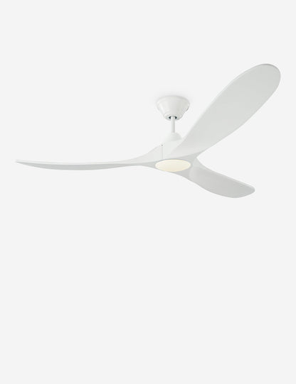 Delos Ceiling Fan - Ceiling Fan with Light Indoor Fixture Light