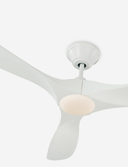 Delos Ceiling Fan - Ceiling Fan with Light Indoor Fixture Light