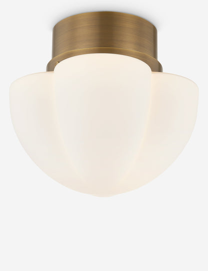 Lupino Flush Mount Light - Flush Mount Ceiling Light for Hallways