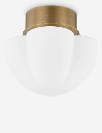 Lupino Flush Mount Light - Flush Mount Ceiling Light for Hallways