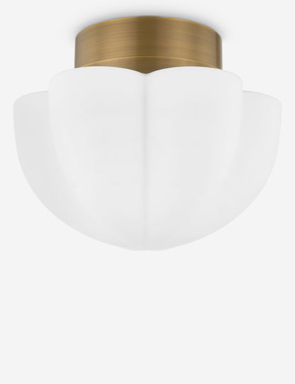 Lupino Flush Mount Light - Flush Mount Ceiling Light for Hallways