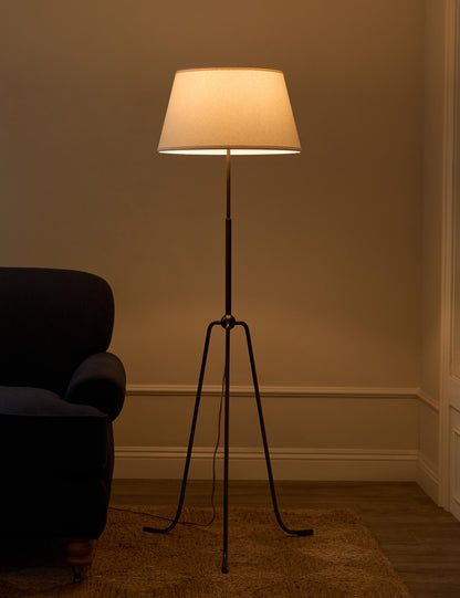Francis Floor Lamp - Living Room Floor Lamp for Living Rooms