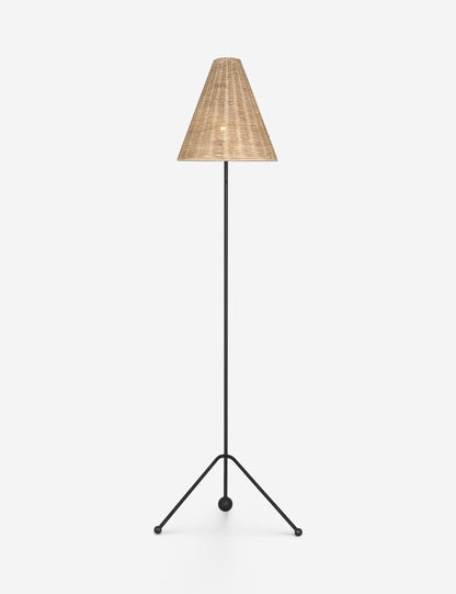 Appling Floor Lamp - Living Room Floor Lamp for Living Rooms