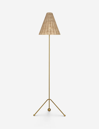 Appling Floor Lamp - Living Room Floor Lamp for Living Rooms