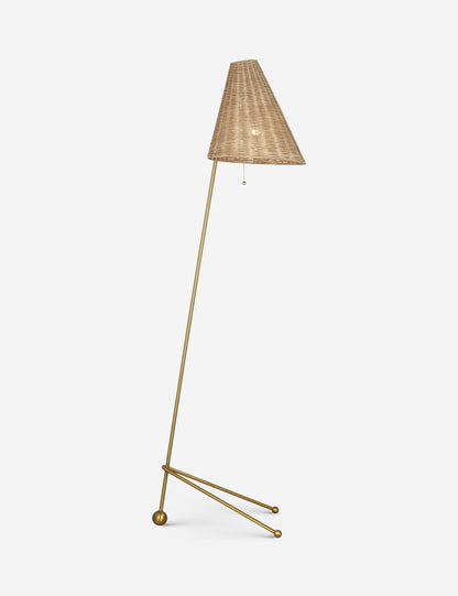 Appling Floor Lamp - Living Room Floor Lamp for Living Rooms