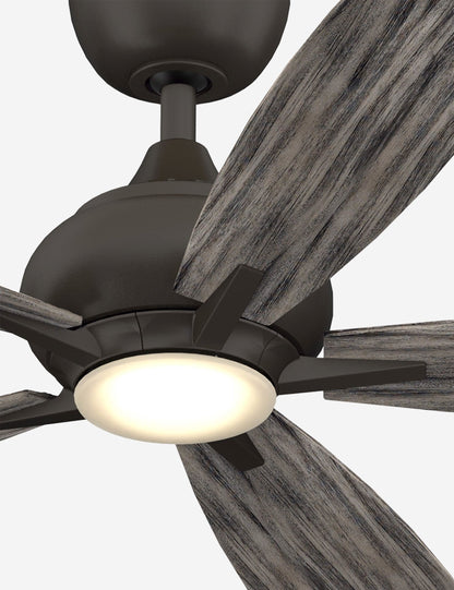 Donati Ceiling Fan + Light - Ceiling Fan with Light Indoor Fixture