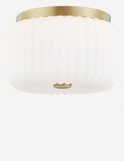 Harissa Flush Mount Light - Flush Mount Ceiling Light for Hallways